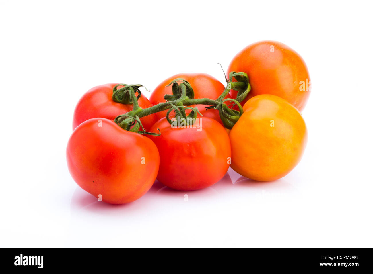 Cluster of fresh tomatoes on a white background, Ideal vegetable for a balanced diet, photo taken in studio Stock Photo