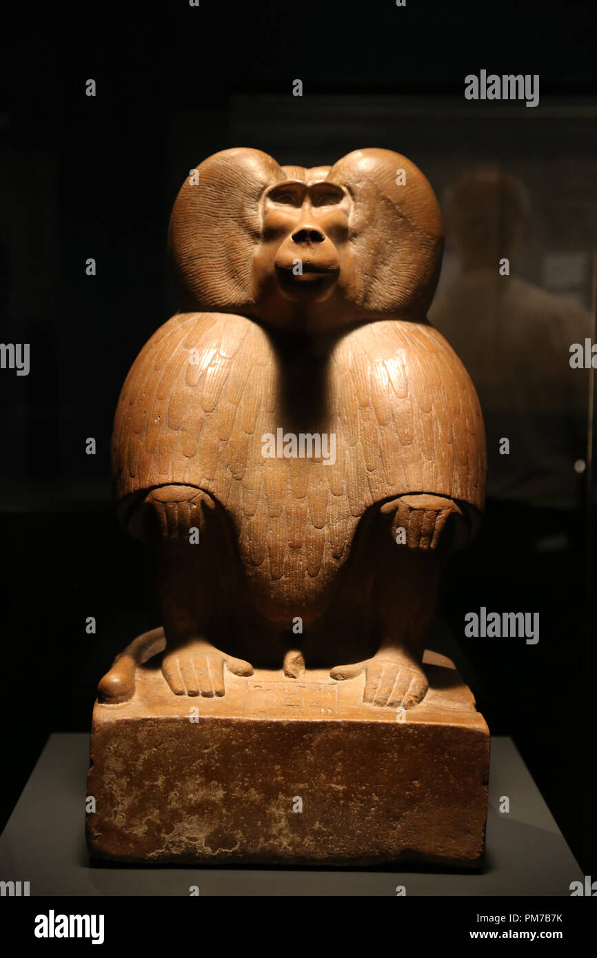 Ancient Egypt. Figure of baboon squatting. Red quartzite. Reign of Amenhotep III. Dynasty 18. New Kingdom. British Museum. Stock Photo
