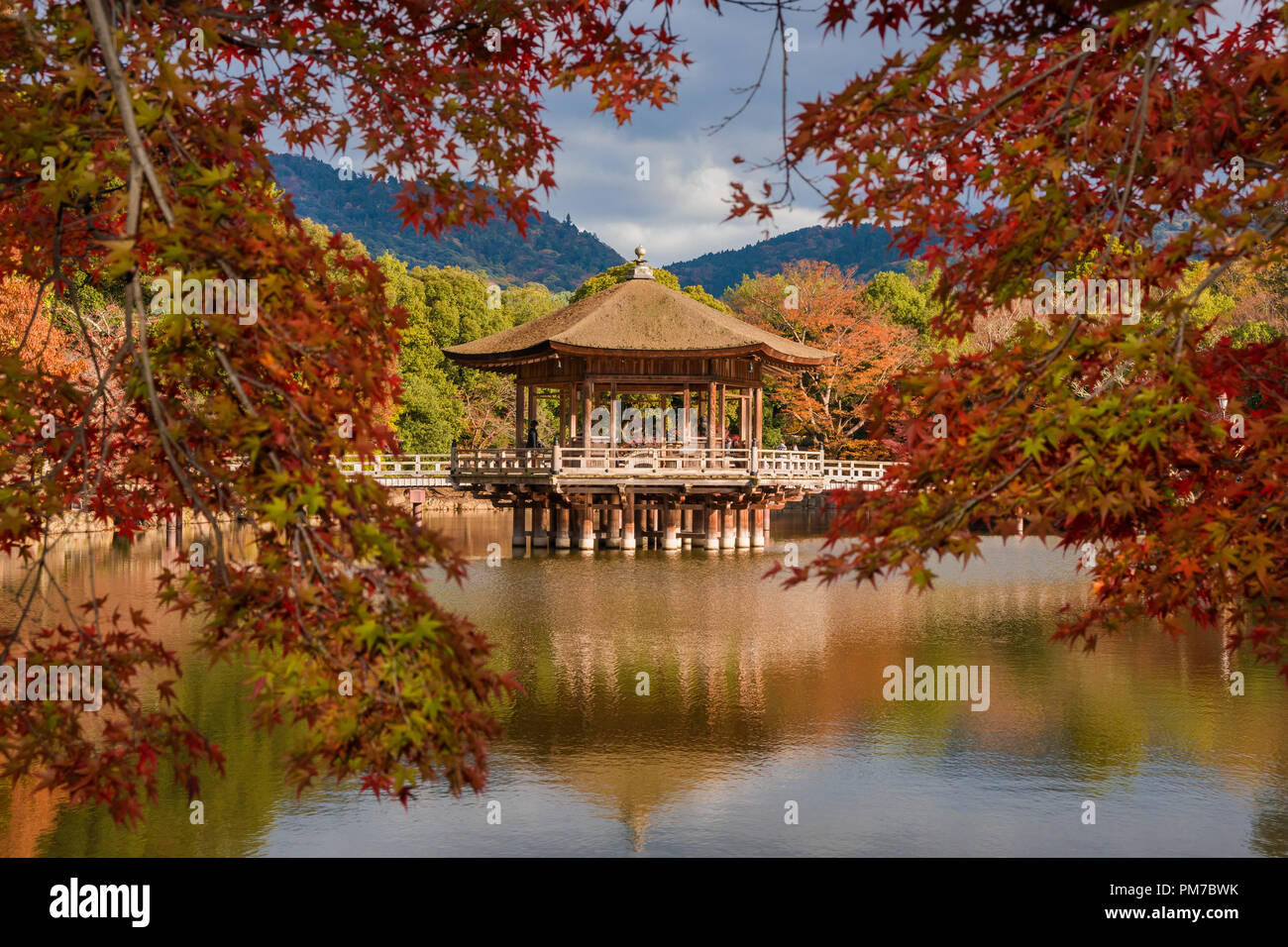 Scenic view of Nara public park in autumn, with maple leaves, pond and old pavilion, in Japan Stock Photo