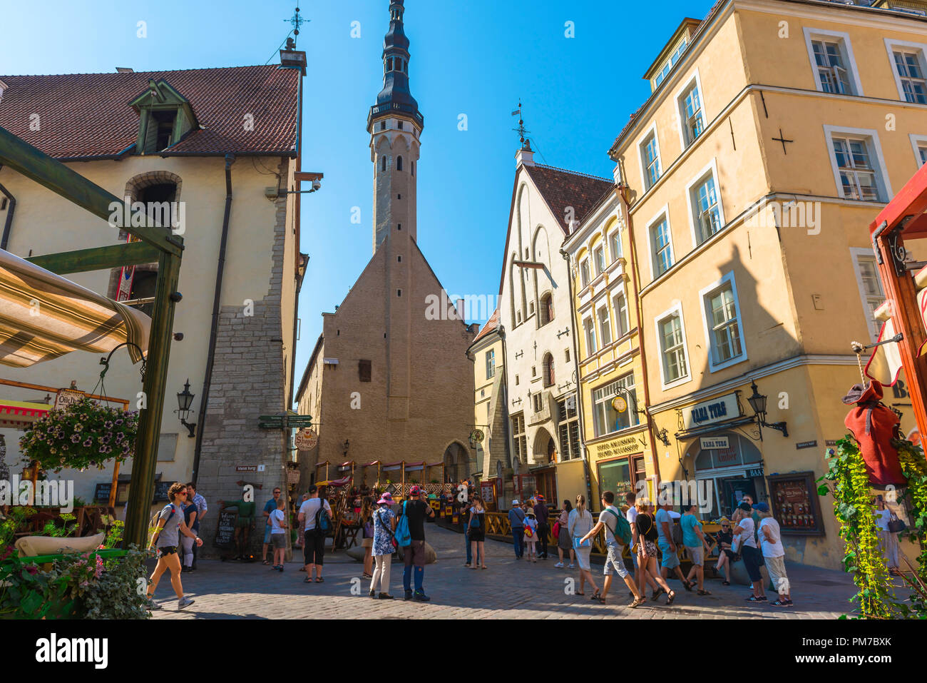Tallinn Old Town, view in summer of Tallinn Town Hall Tower sited at the end of Vanaturu kael in the historic city center Old Town quarter, Estonia Stock Photo