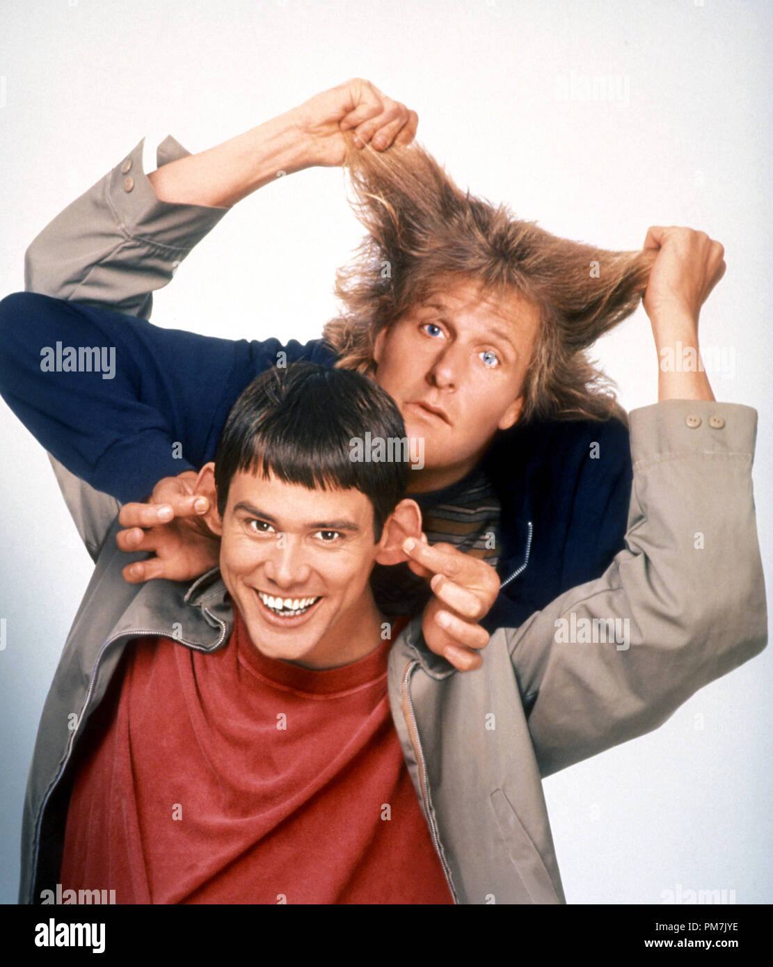 Film Still from 'Dumb and Dumber' Jim Carrey, Jeff Daniels © 1994 New Line Cinema     File Reference # 31129367THA  For Editorial Use Only - All Rights Reserved Stock Photo