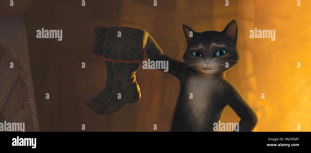 soft paws chat