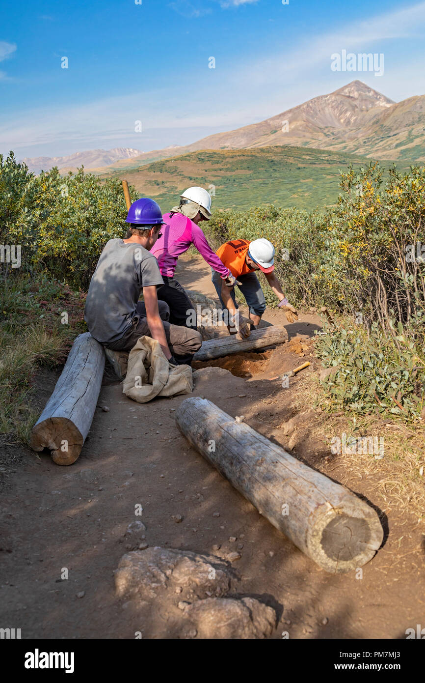 Georgetown, Colorado - Volunteers maintain the Mt. Bierstadt Trail in the Mt. Evans Wilderness Area. They are working through the nonprofit Colorado F Stock Photo