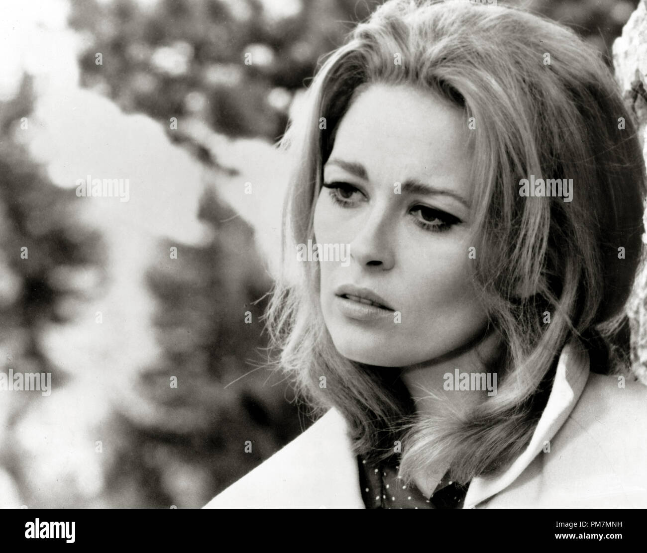 Faye Dunaway Circa 1967 File Reference 31202 434tha Stock Photo Alamy