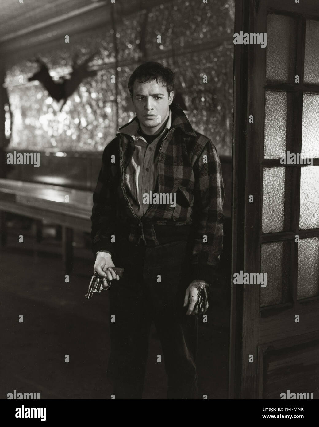 Marlon Brando, 'On the Waterfront' 1954  File Reference # 31202 436THA Stock Photo