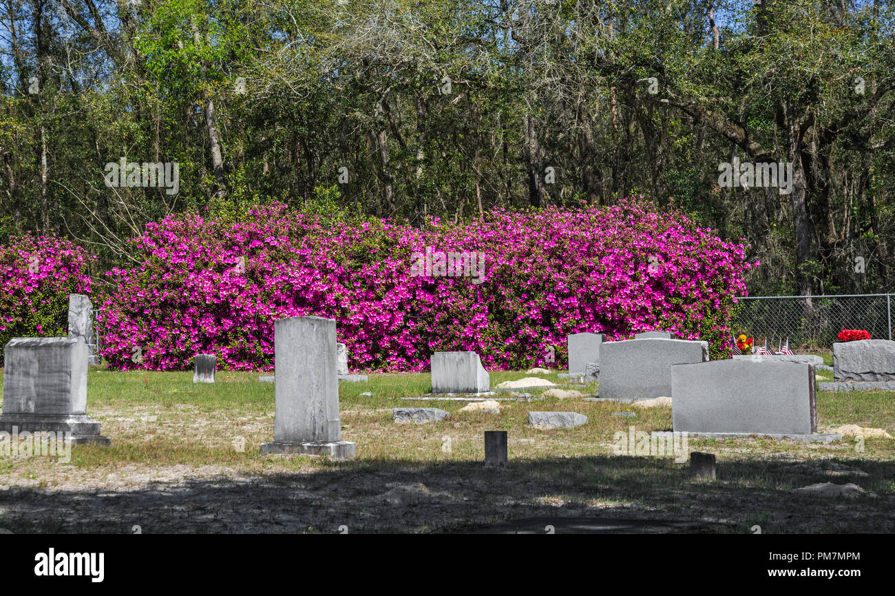Springtime arrives in a small town cemetery in North Central Florida. Stock Photo