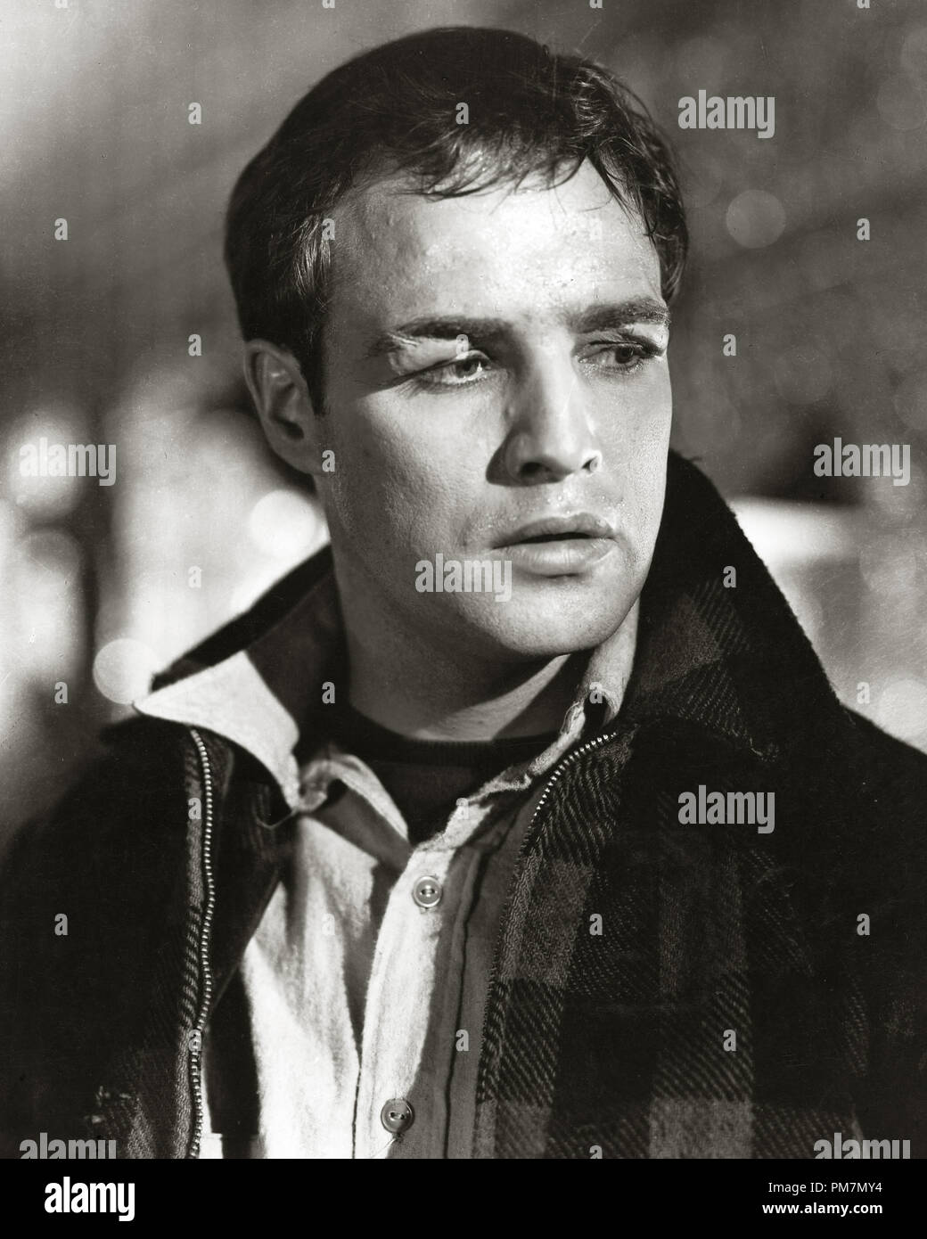 Marlon Brando, "On the Waterfront" 1954  File Reference # 31202_563THA Stock Photo