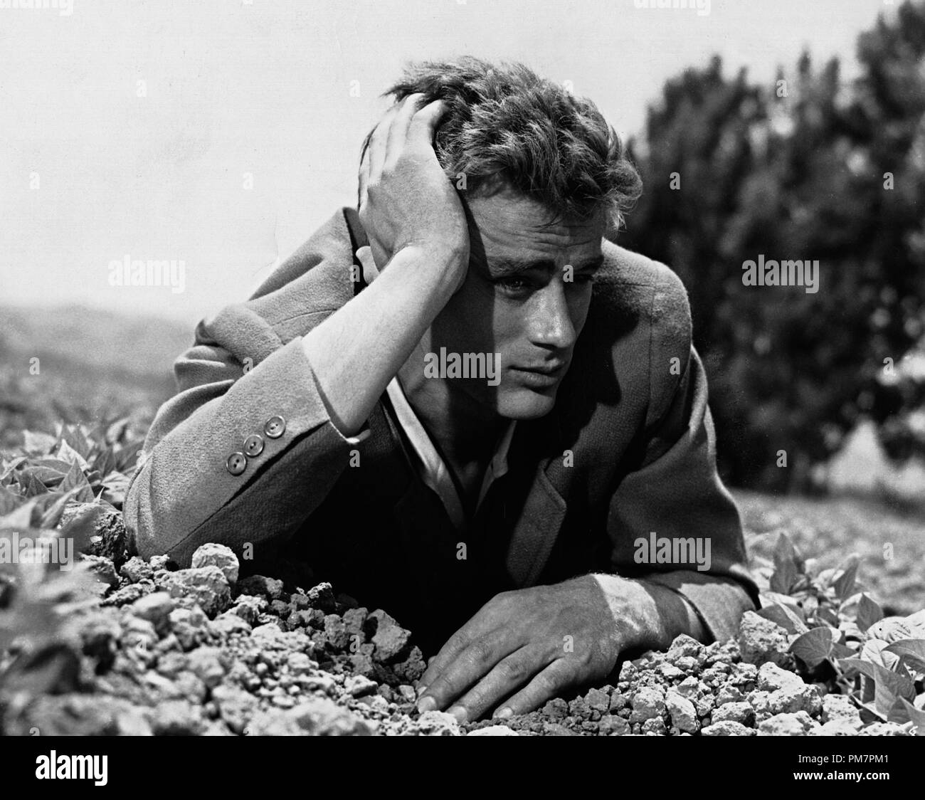 Studio Publicity Still: James Dean, 'East of Eden'  1955 Warner Bros. File Reference # 31386 1003THA Stock Photo