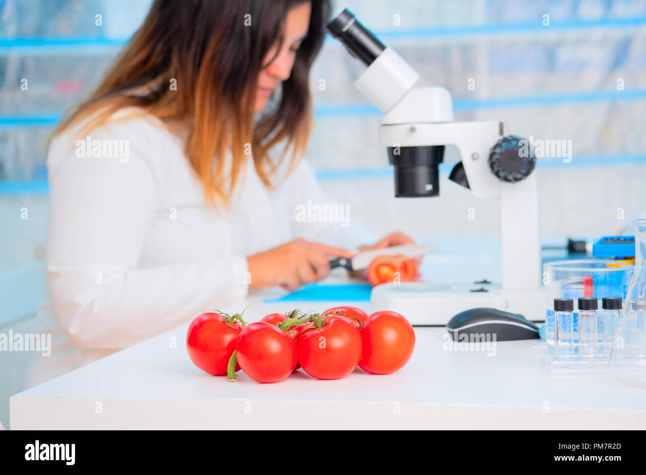 Checking fruit and vegetables for harmful elements. Laboratory for