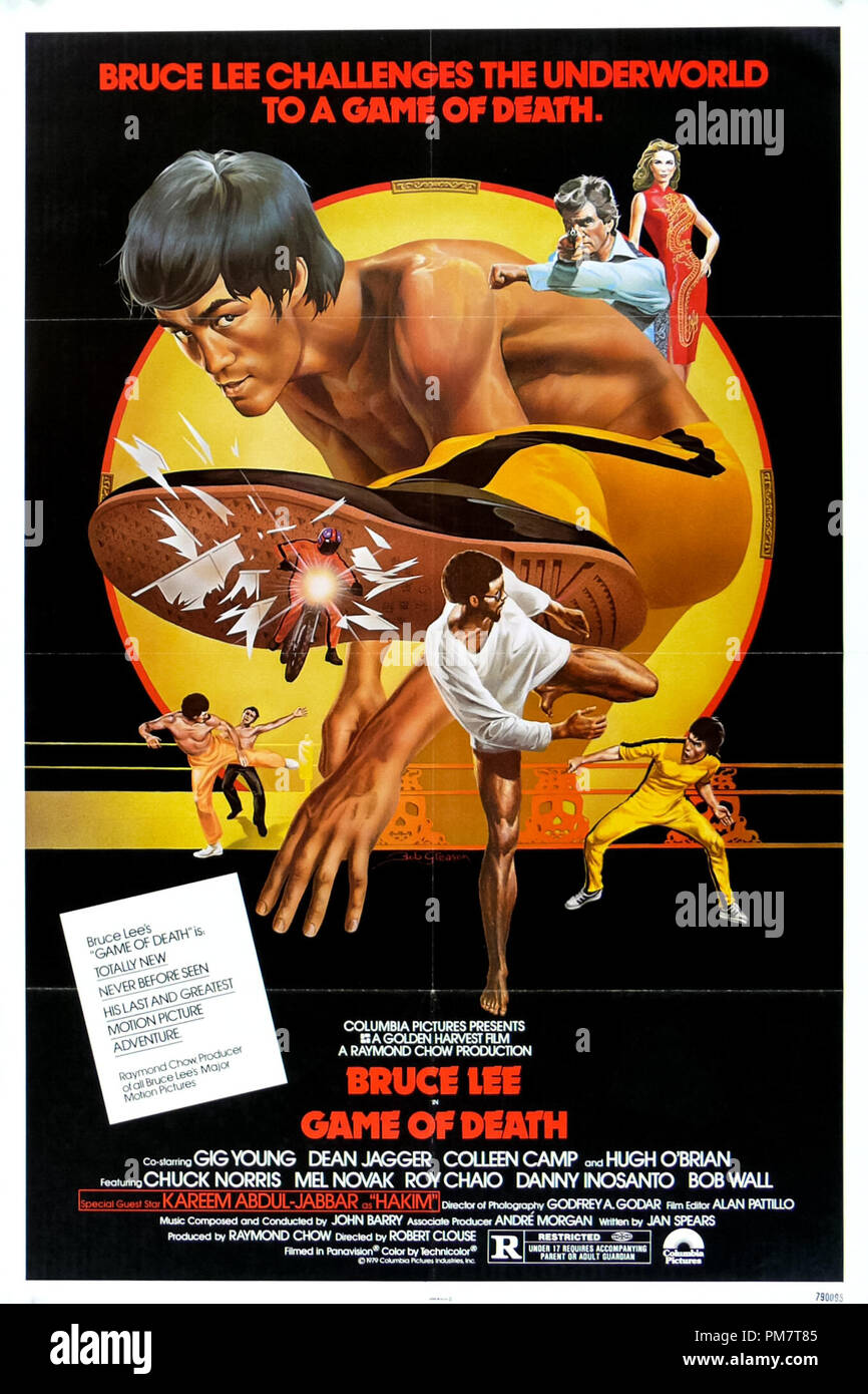 Goodbye, Bruce Lee: His Last Game of Death Movie Poster