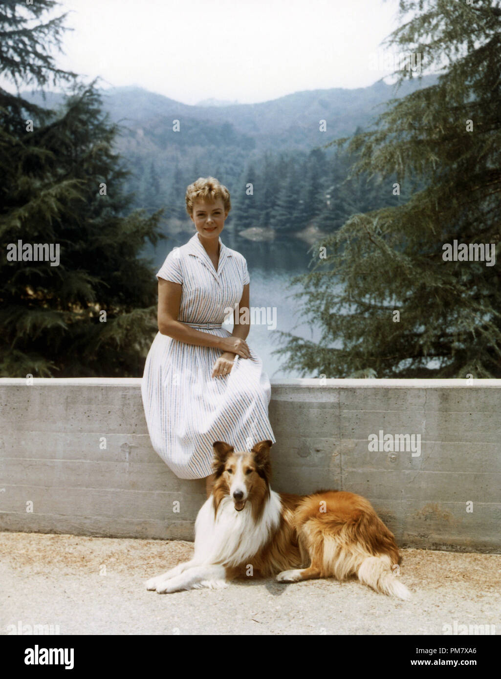 June Lockhart, 'Lassie' circa 1964 File Reference # 31537 644 Stock Photo