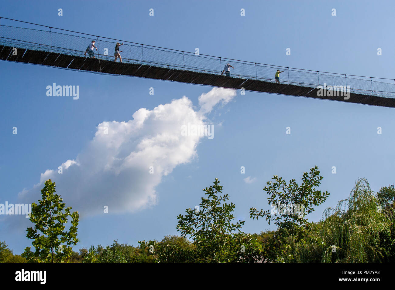 People walking on the suspension bridge over the trees in high height Stock Photo