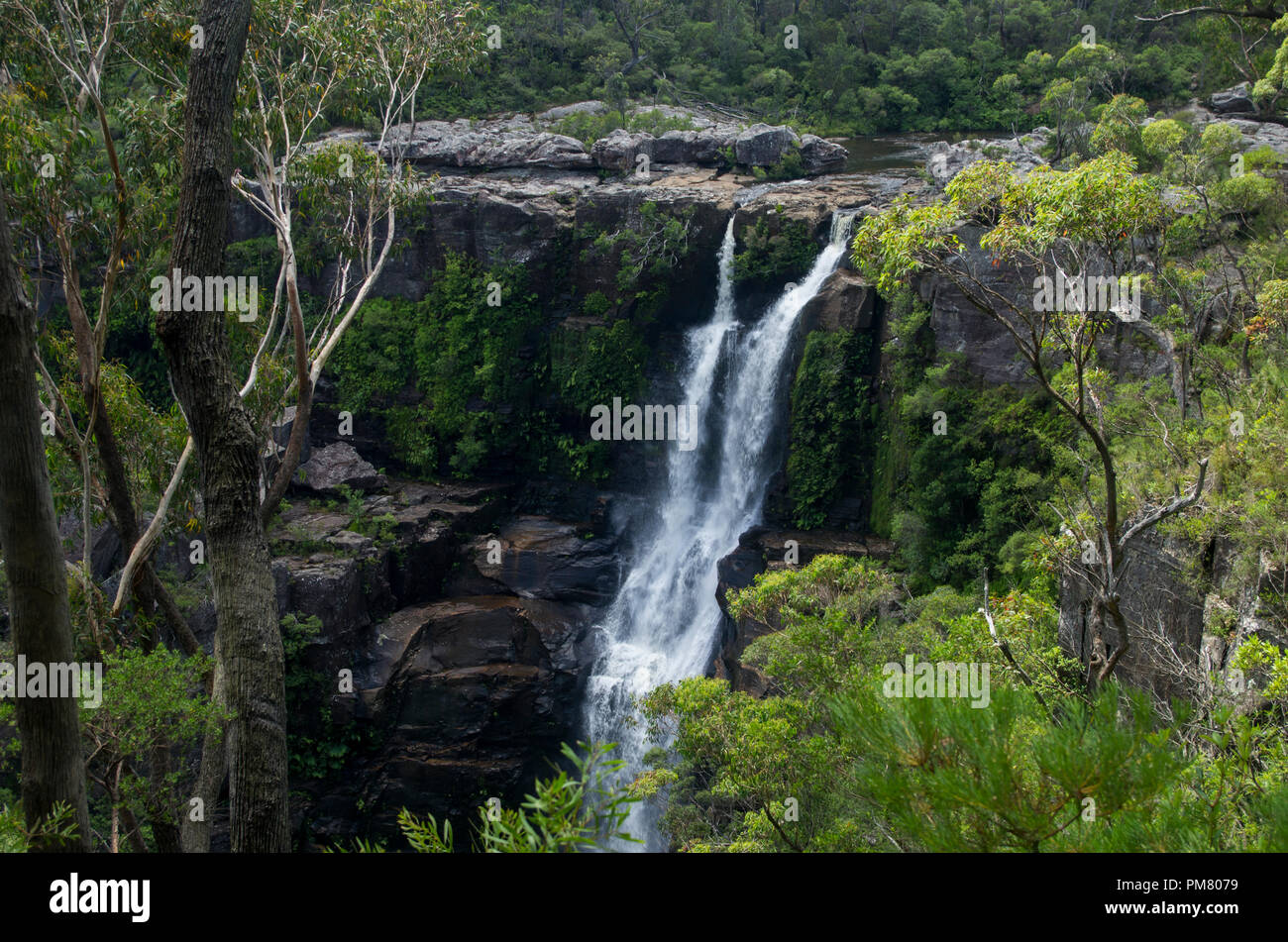 Carrington Falls waterfall, Southern Highlands, NSW, Australia Stock Photo Alamy