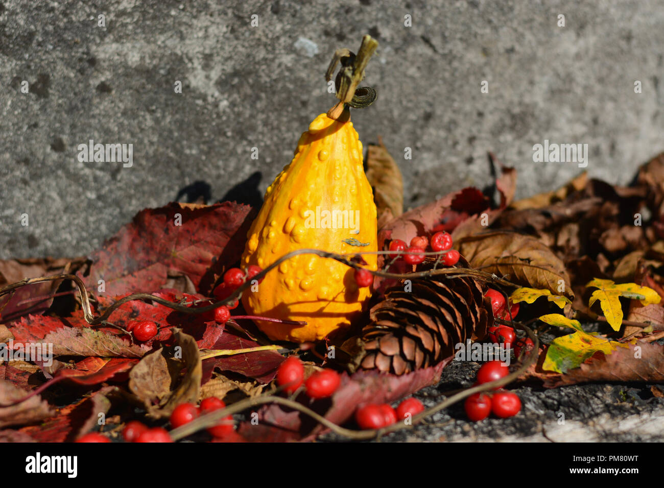 autumn colors Stock Photo