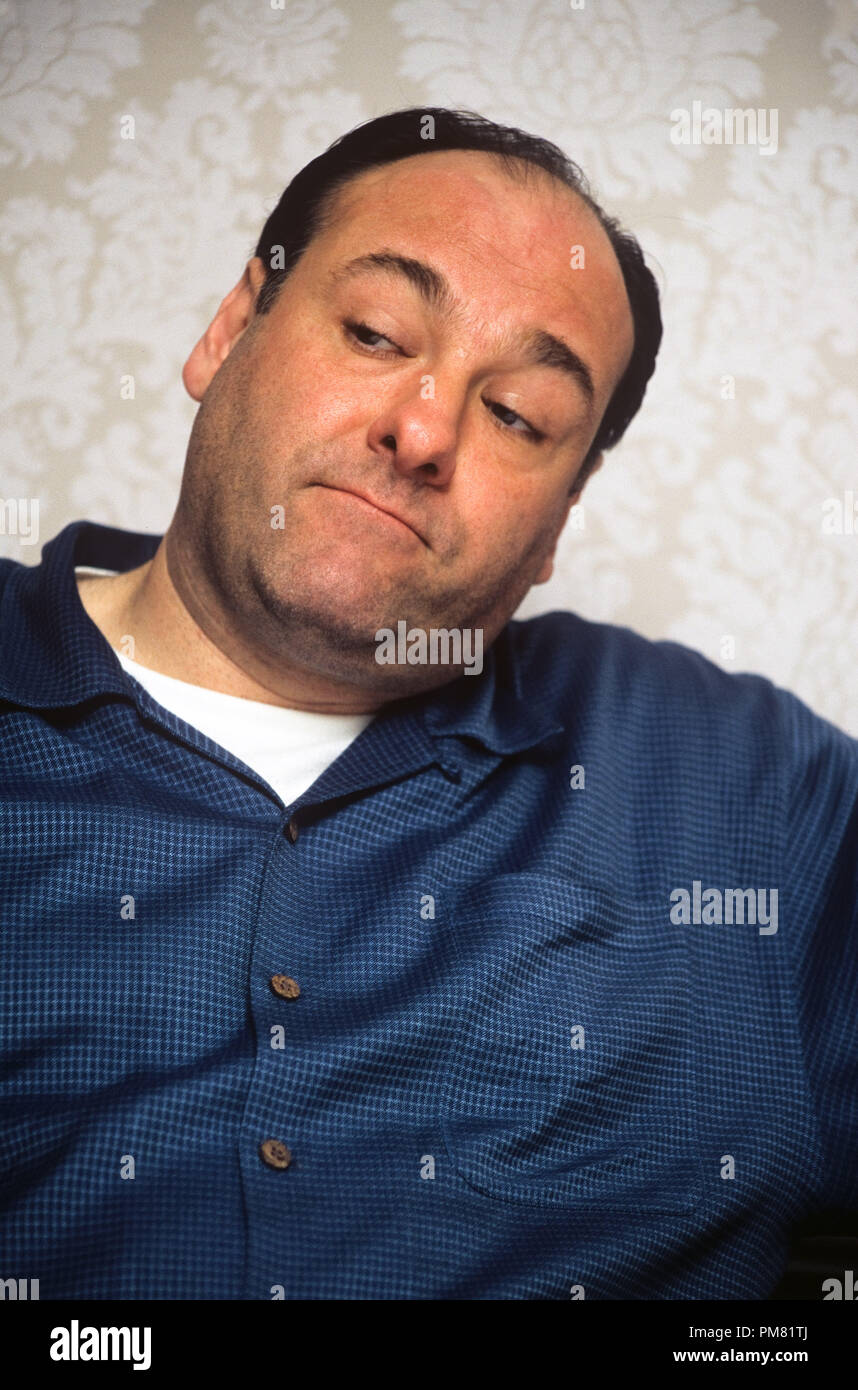 James Gandolfini, 2004. Reproduction by American tabloids is absolutely forbidden. © JRC /The Hollywood Archive  -  All Rights Reserved  File Reference # 31315 077 Stock Photo