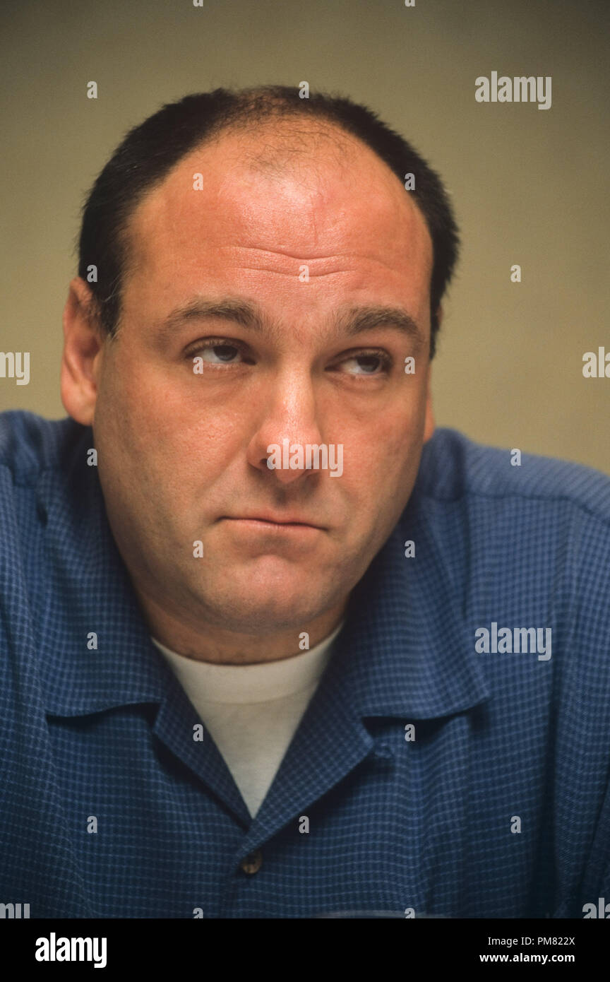 James Gandolfini, 2004. Reproduction by American tabloids is absolutely forbidden. © JRC /The Hollywood Archive  -  All Rights Reserved  File Reference # 31315 207 Stock Photo