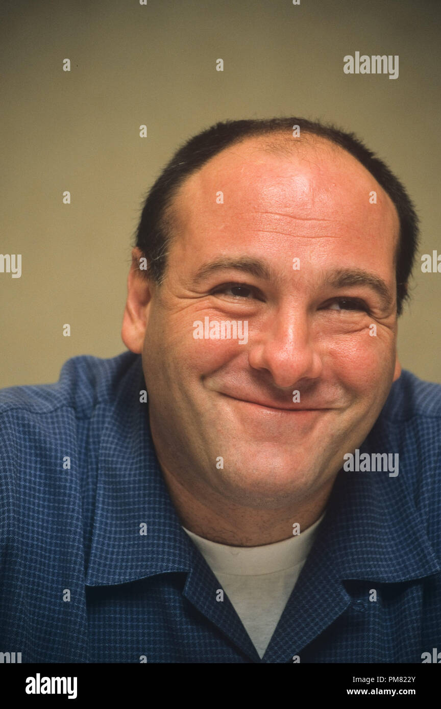 James Gandolfini, 2004. Reproduction by American tabloids is absolutely forbidden. © JRC /The Hollywood Archive  -  All Rights Reserved  File Reference # 31315 208 Stock Photo