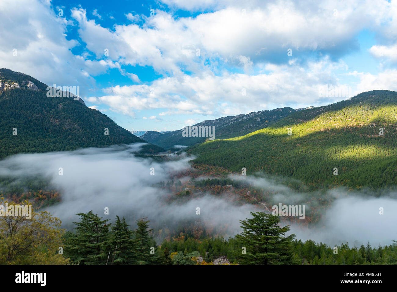 fog clouds after rain Stock Photo Alamy