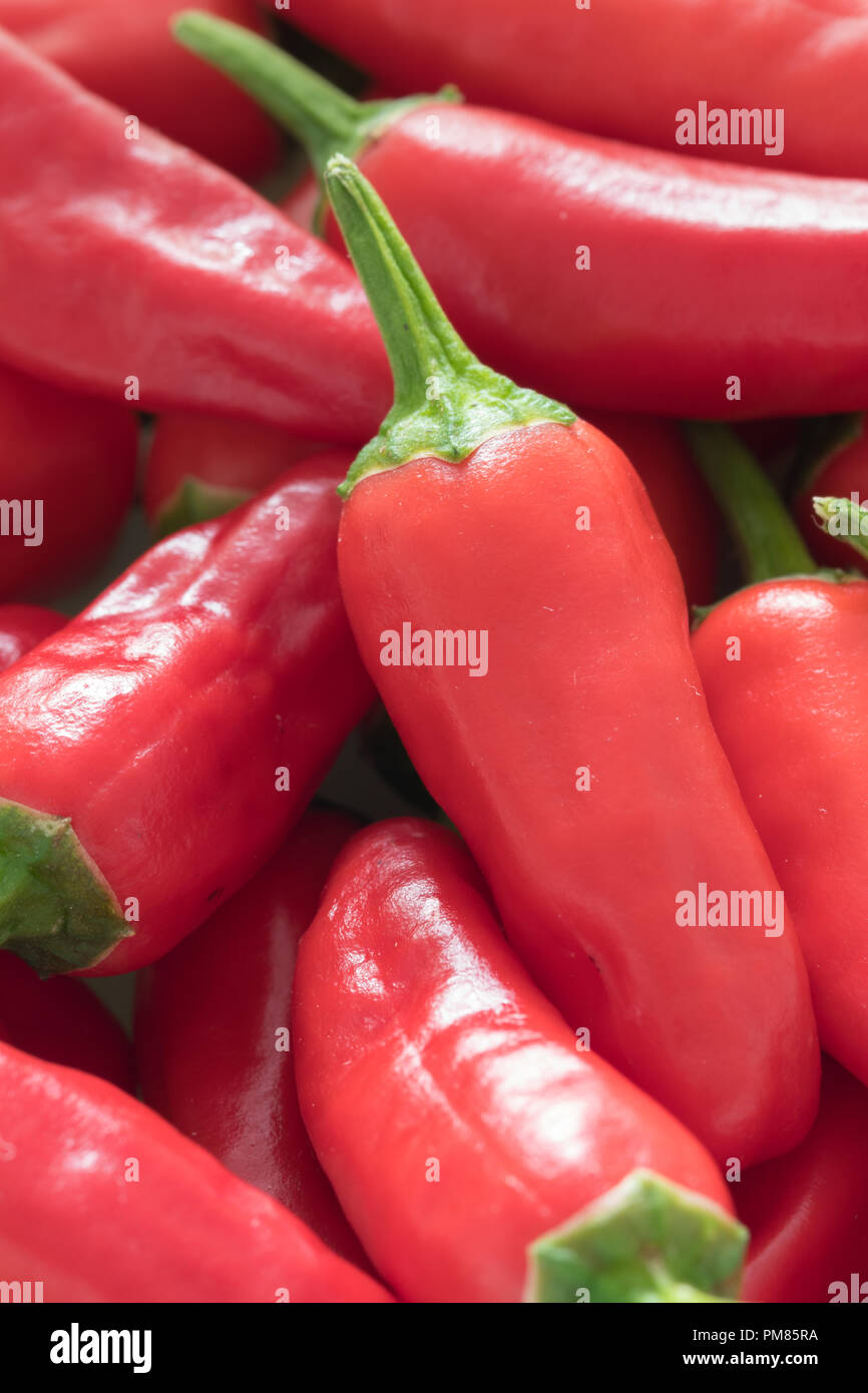 English Peppers High Resolution Stock Photography and Images Alamy
