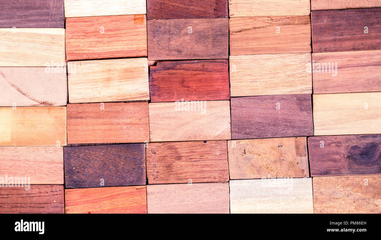 wood specimen from different tropical hardwood that grow in Indonesia ...