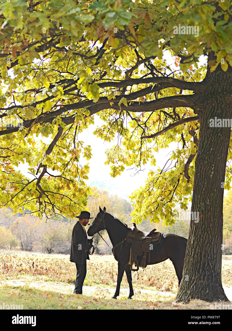 "Hatfields & McCoys" 2012 Devil Anse Hatfield, played by Kevin Costner