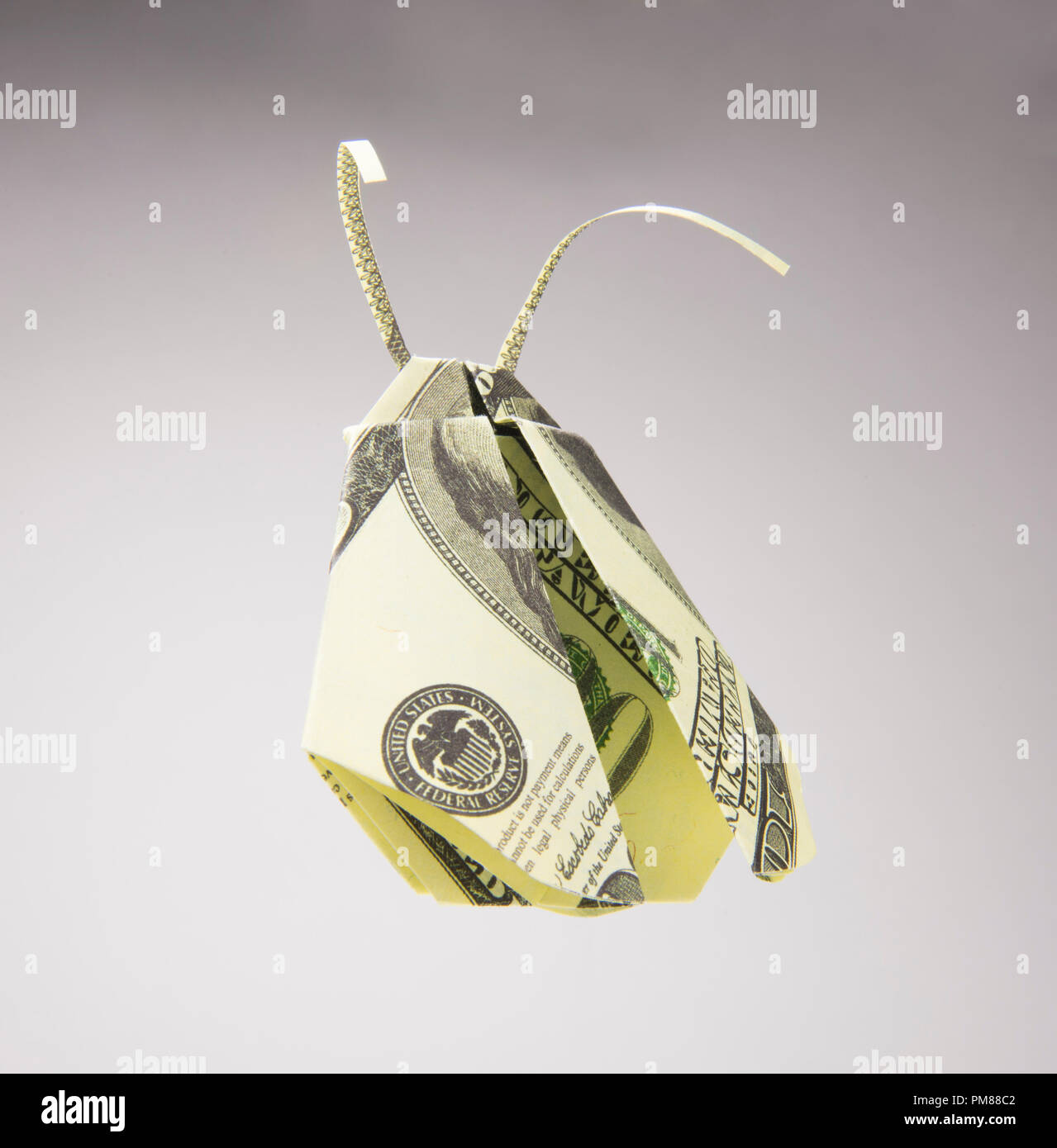 Pmc658 Dollar bill butterfly hi-res stock photography and images - Alamy