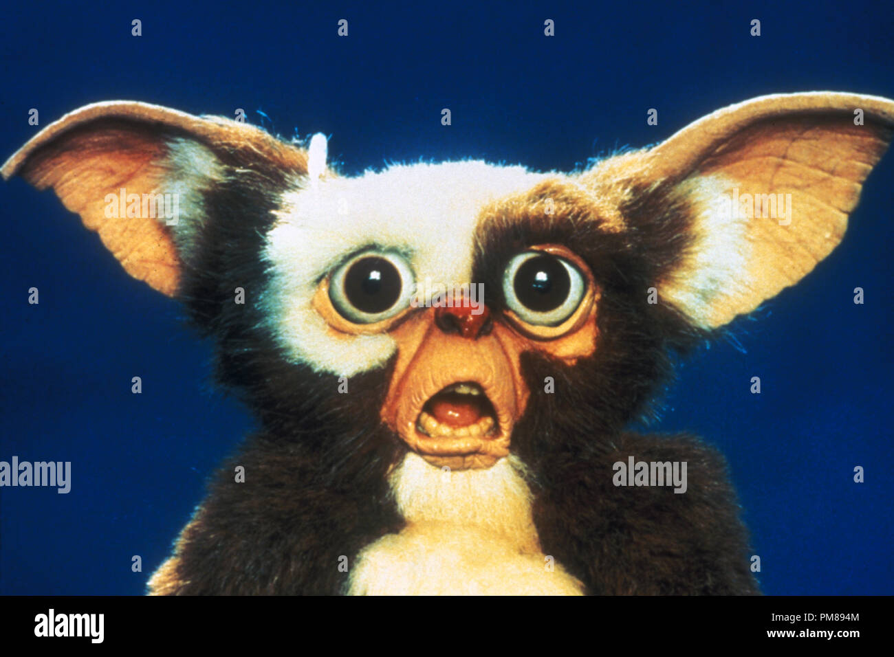 Studio Publicity Still from 'Gremlins' Gizmo (Gremlin)  © 1984 Warner  All Rights Reserved   File Reference # 31706314THA  For Editorial Use Only Stock Photo