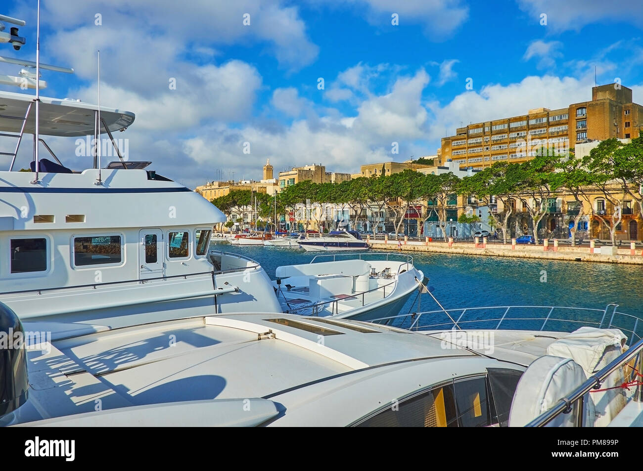 The yachts in marina of Valletta are perfect place to observe small towns on seashores, such as Ta'Xbiex with green pines along the seaside promenade, Stock Photo