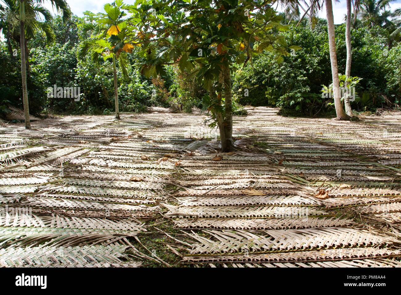 Tongan thatch hires stock photography and images Alamy