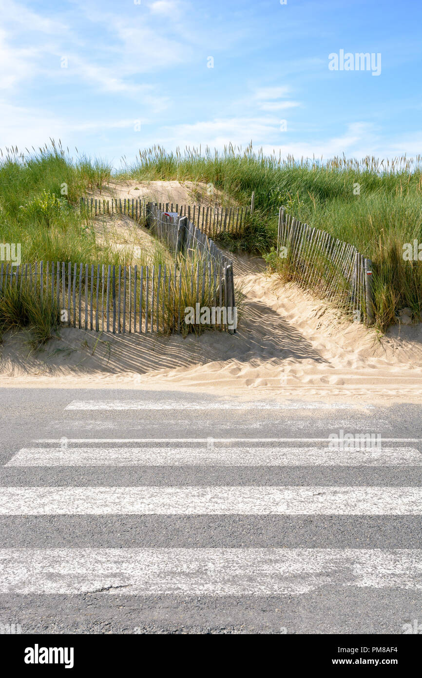 A pathway delimited by a wooden fence on the sand dune covered with wild grasses on the Breton shore with a pedestrian crossing on the seaside road. Stock Photo