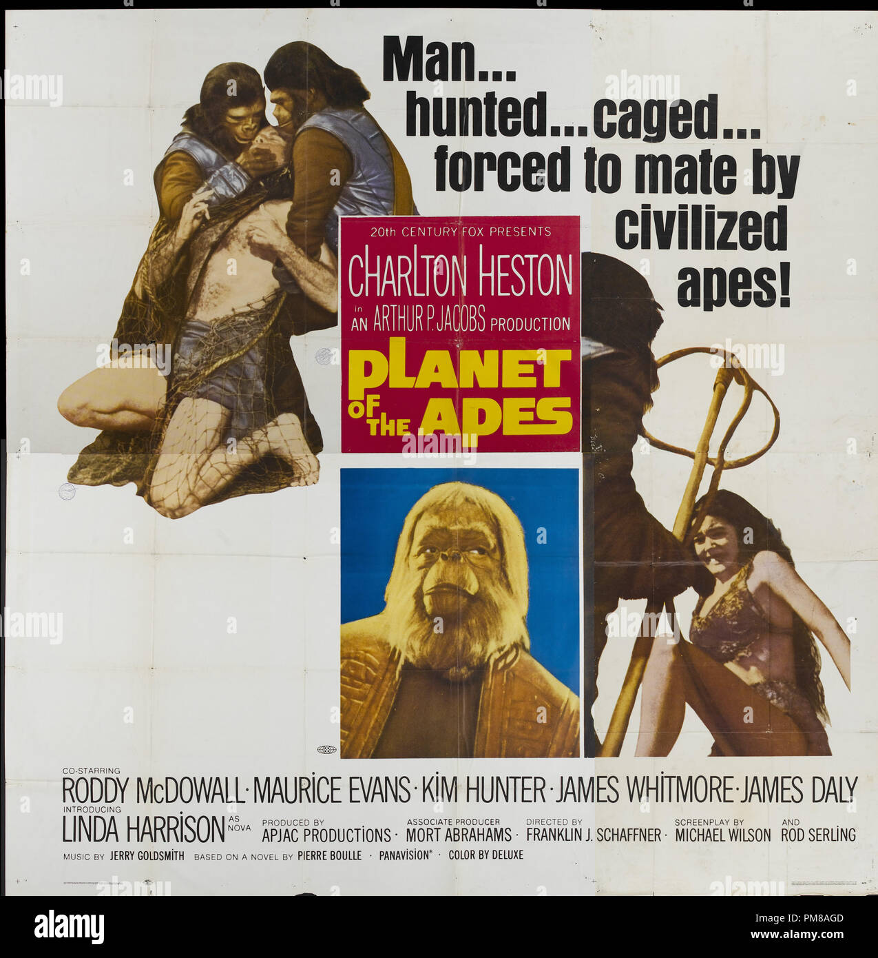Studio Publicity: 'Planet of the Apes', 1968 Twentieth Century Fox Film Corporation Poster  Charlton Heston, Roddy McDowall, Kim Hunter, Maurice Evans, James Whitmore, James Daly  File Reference # 31780 746 Stock Photo