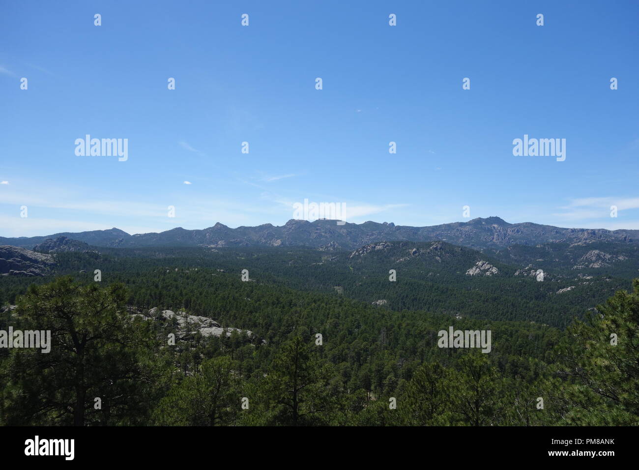 Black Hills South Dakota Stock Photo - Alamy