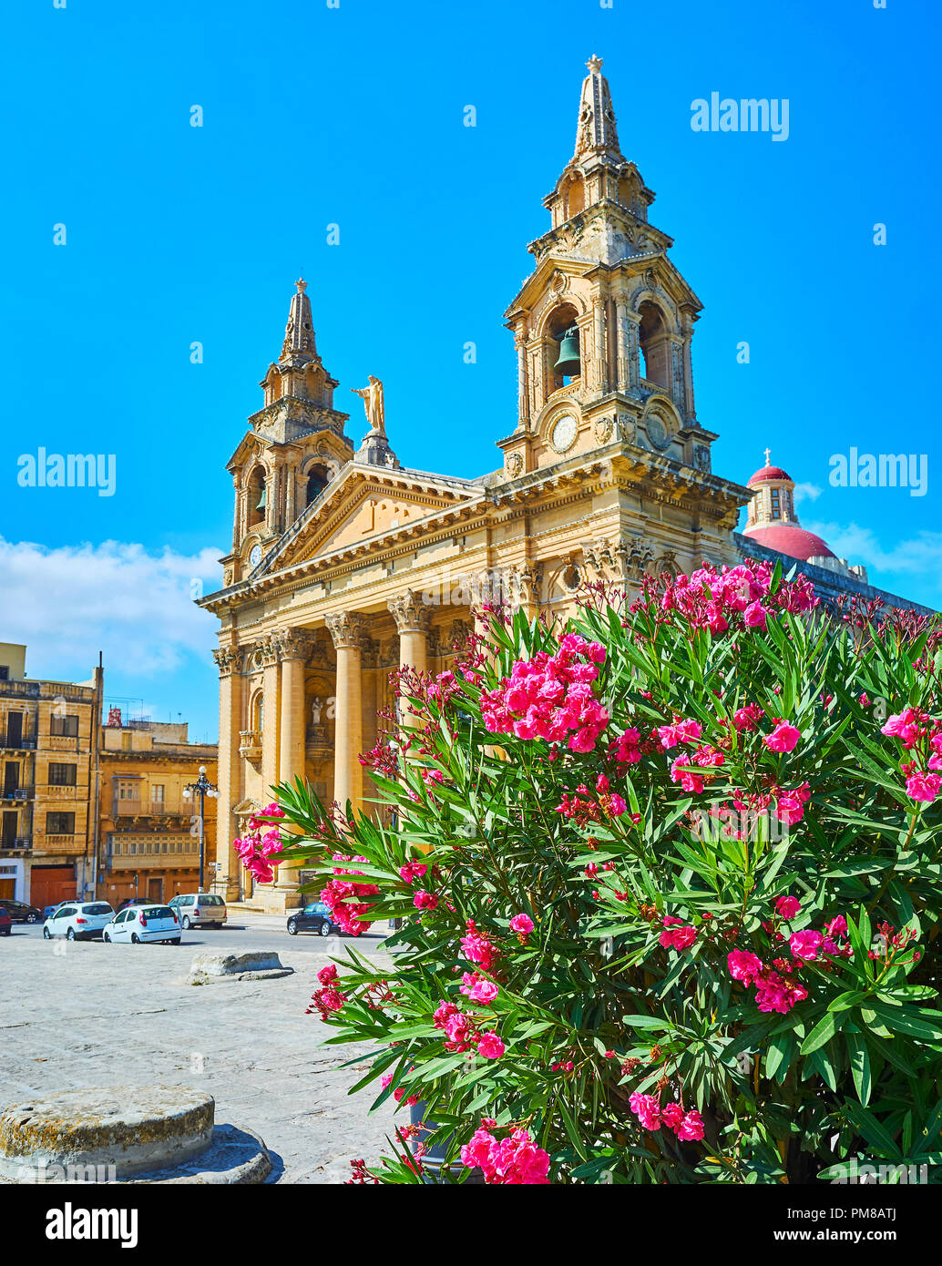 The Neoclassical facade of St Publius Parish Church with blooming rhododendron shrub on the foreground, Floriana, Malta. Stock Photo