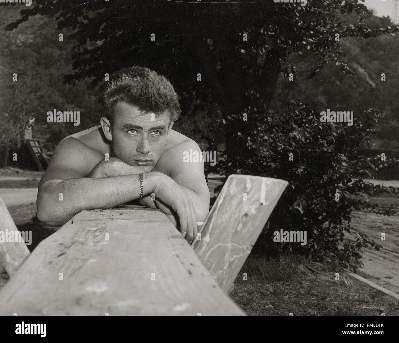 James Dean, 'East of Eden' 1955 Warner     File Reference # 31955 558THA Stock Photo