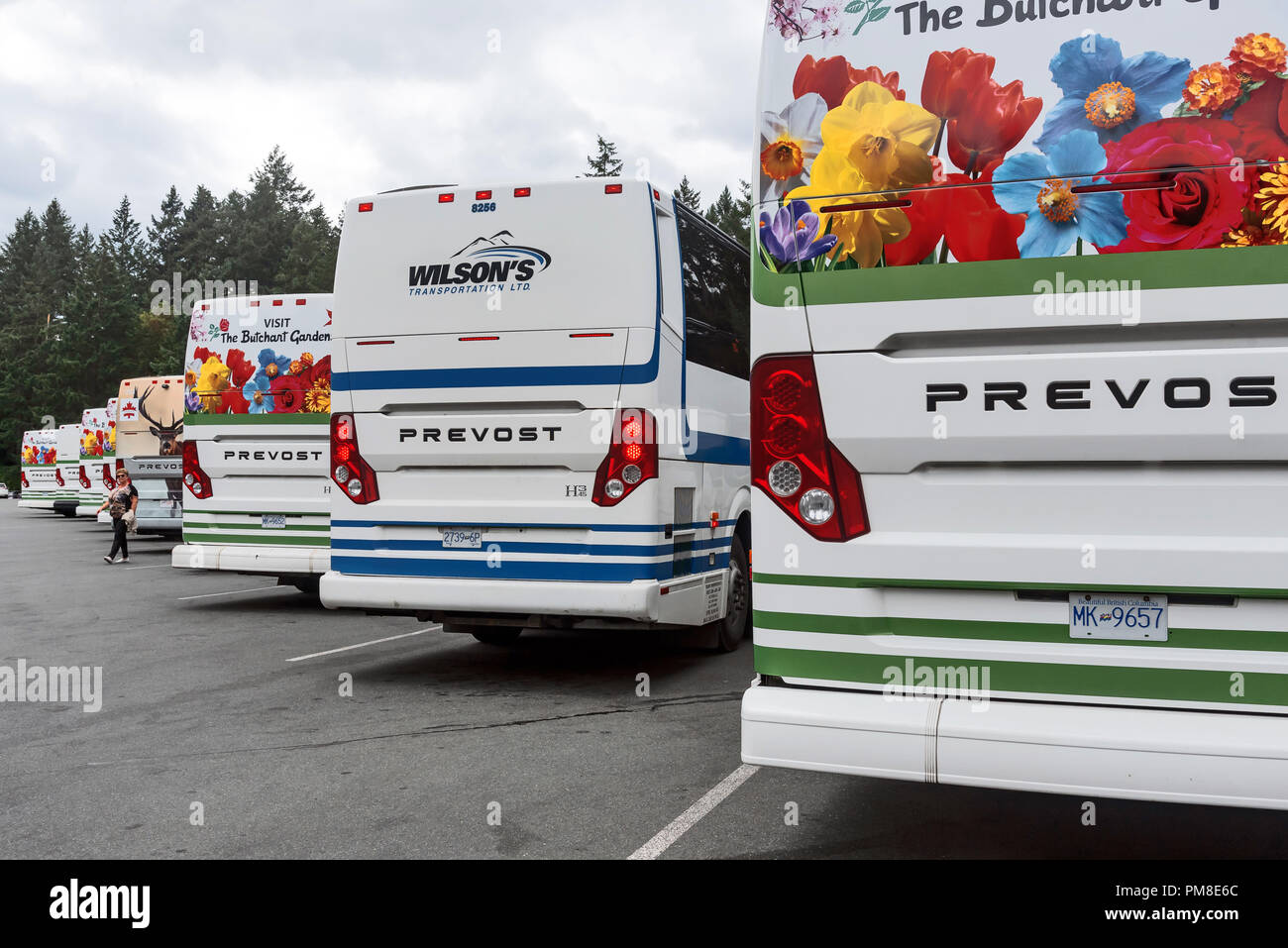 Butchart Gardens Bus : Cruiseportinsider Com Victoria Excursions Enchanting Butchart Gardens