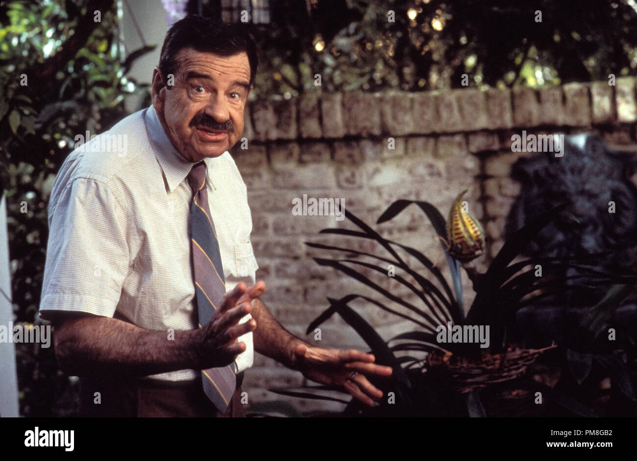 Film still / publicity still from “Dennis the Menace” Walter Matthau