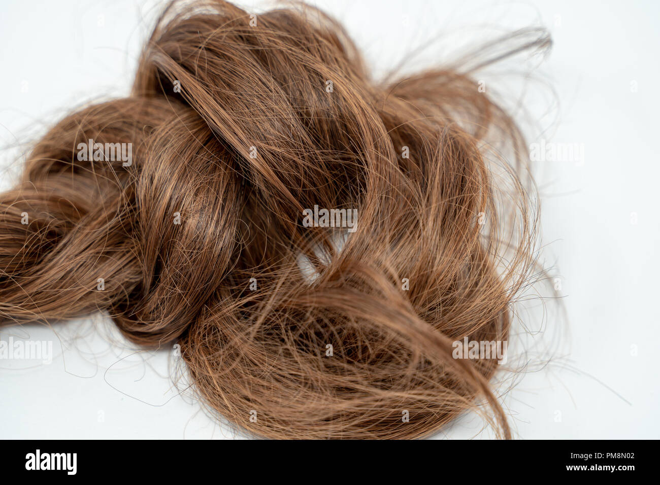 Brown brunette hair isolated on white background. Hair in a pile, tangled  Stock Photo - Alamy