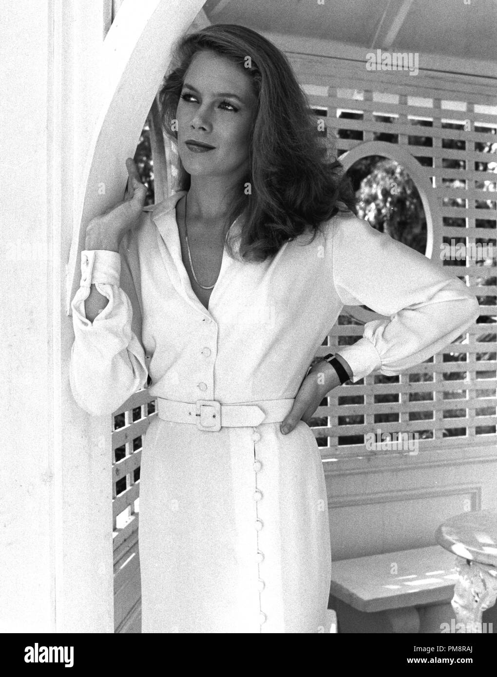 Body heat kathleen turner hires stock photography and images Alamy