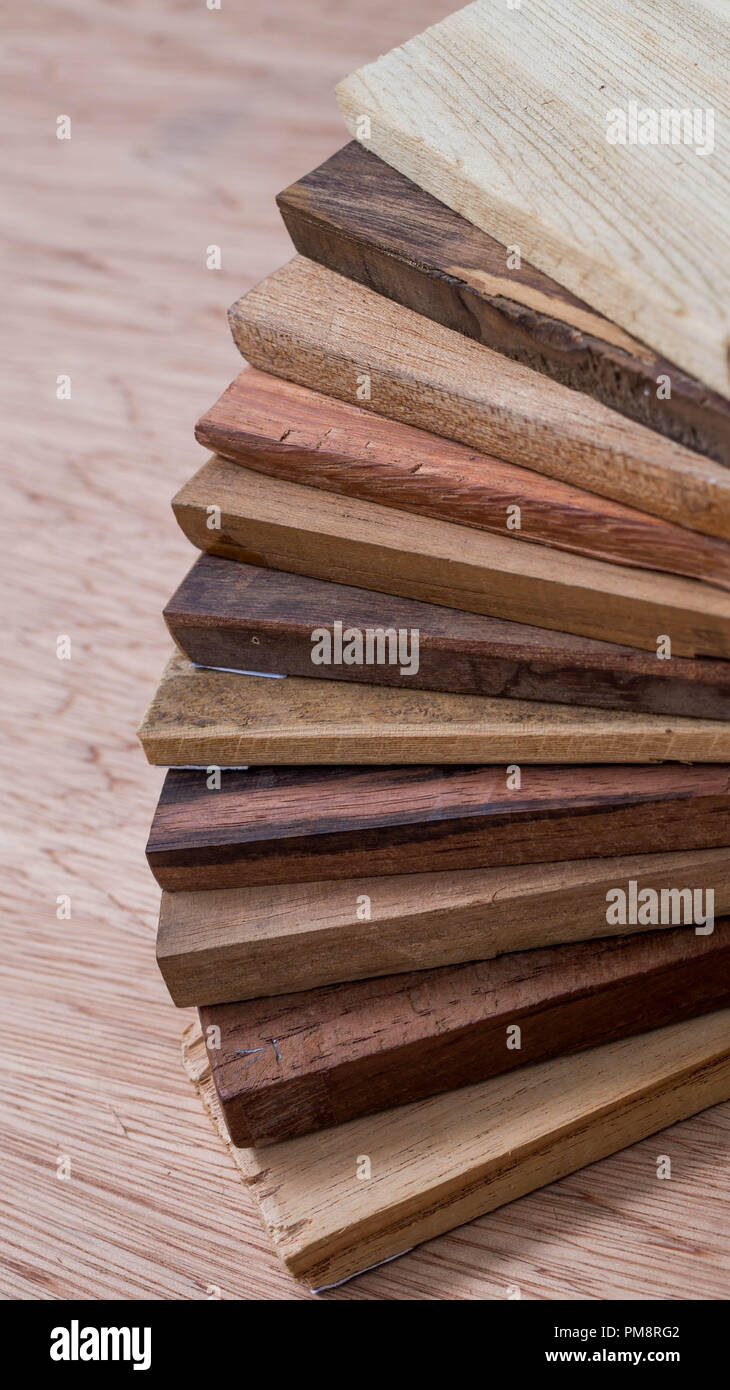 sample of different species of tropical hardwood that grow in Indonesia.  parquet sample. forestry and biodiversity concept Stock Photo