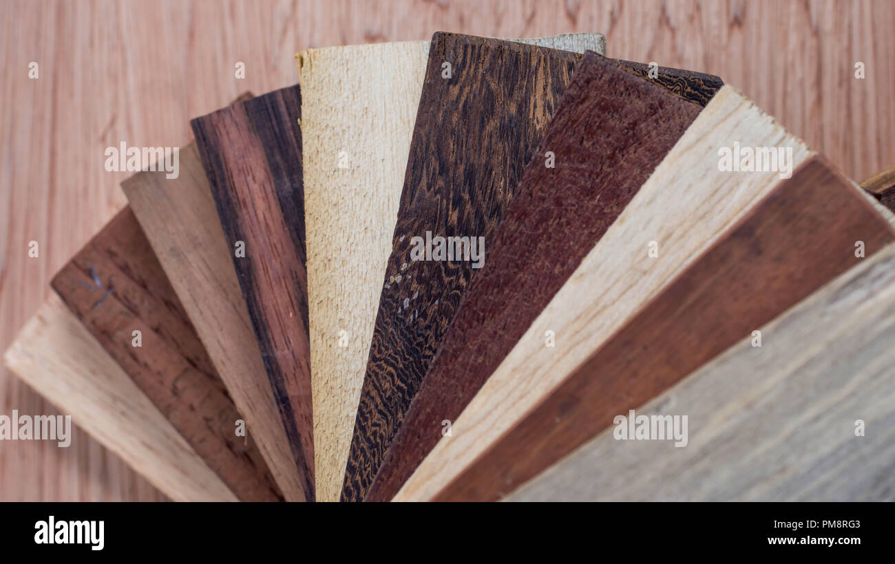 sample of different species of tropical hardwood that grow in Indonesia.  parquet sample. forestry and biodiversity concept Stock Photo