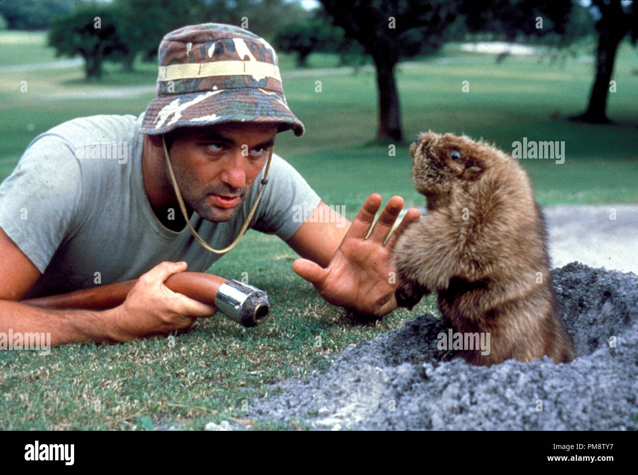 Caddyshack bill murray hires stock photography and images Alamy
