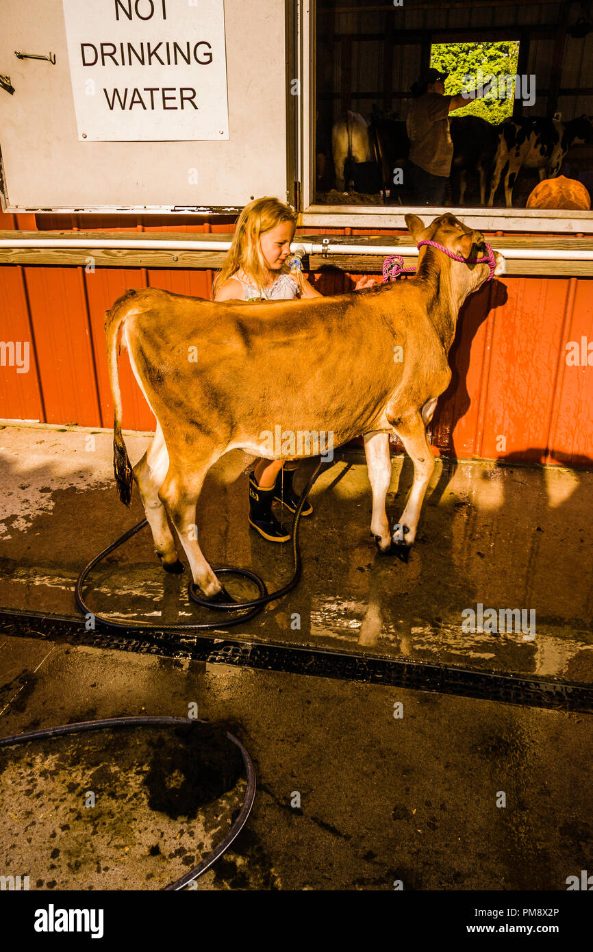 60th Annual Country Fair Terryville, Connecticut, USA Stock Photo Alamy