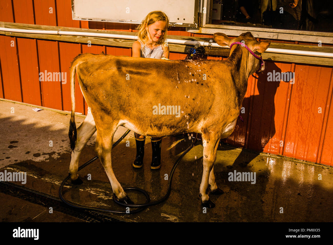 60th Annual Country Fair Terryville, Connecticut, USA Stock Photo Alamy