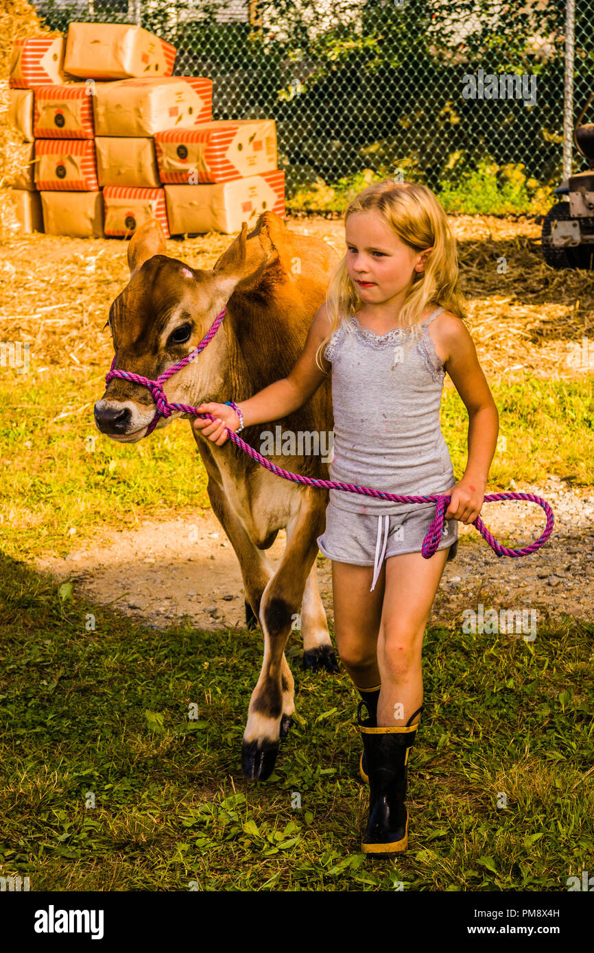 Terryville hires stock photography and images Alamy