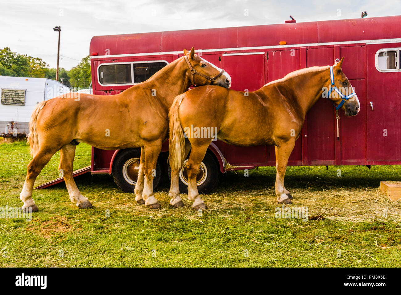 60th Annual Country Fair Terryville, Connecticut, USA Stock Photo Alamy