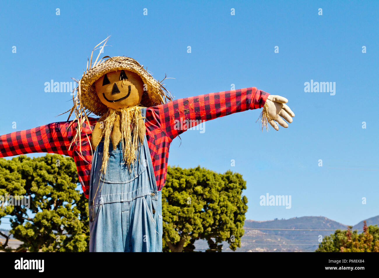 Scarecrow Stock Photo - Alamy