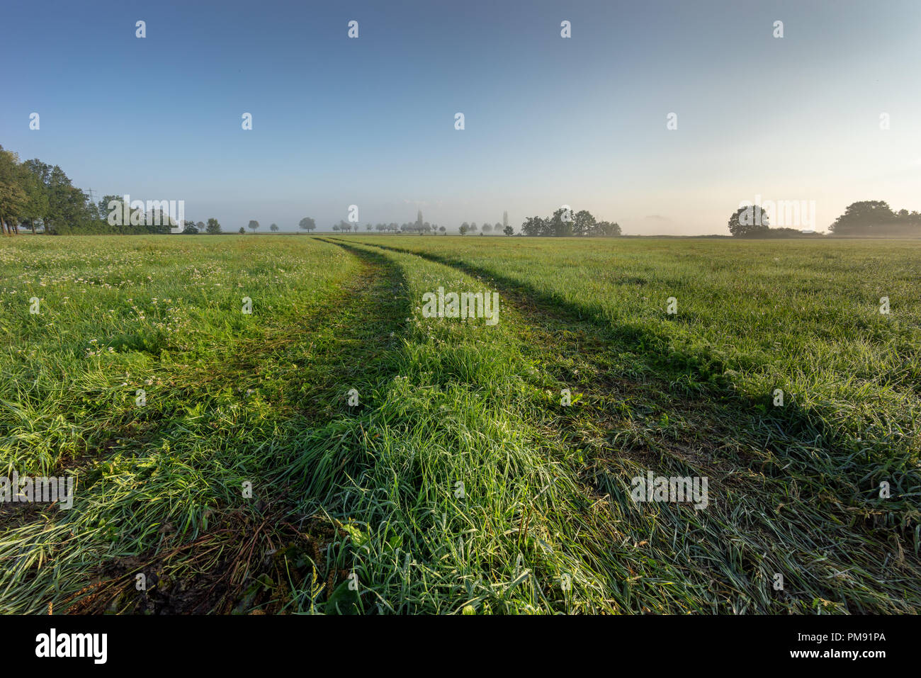 Mysterious landscape hi-res stock photography and images - Alamy