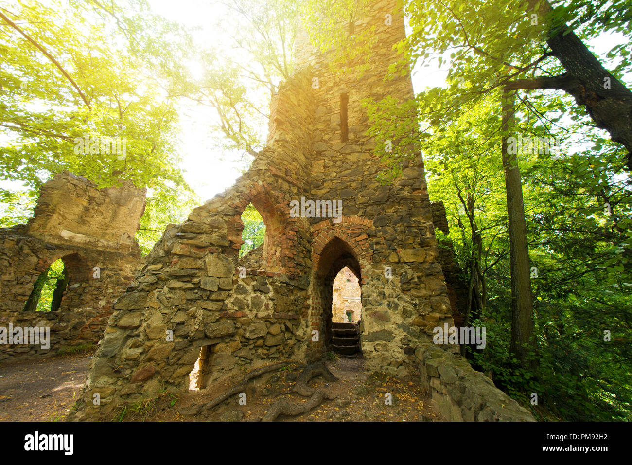 Abandoned place. Castle ruins in the green forest. Stock Photo