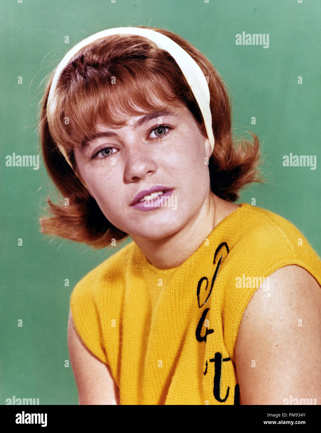 The Patty Duke Show