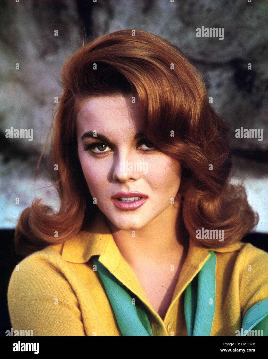 Publicity photo of Ann-Margret, circa 1964  File Reference # 31537 452THA Stock Photo